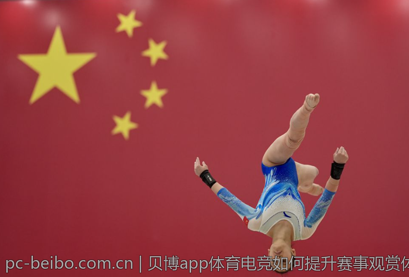 贝博app体育电竞如何提升赛事观赏体验