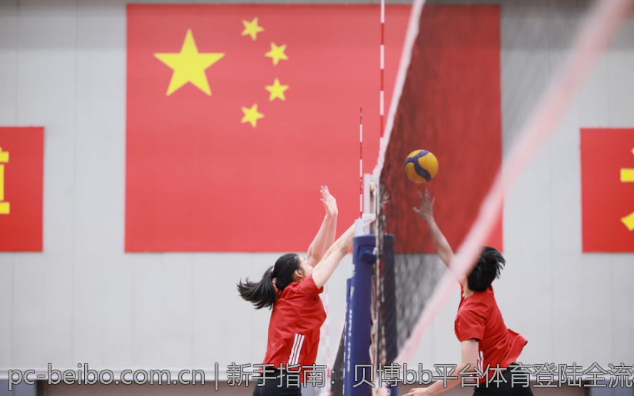 新手指南：贝博bb平台体育登陆全流程解析