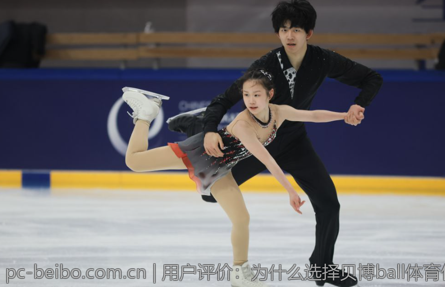 用户评价：为什么选择贝博ball体育作为投注平台