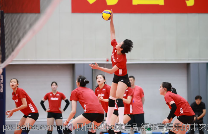贝博beibo体育引领体育娱乐的未来趋势