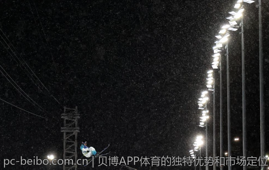 贝博APP体育的独特优势和市场定位