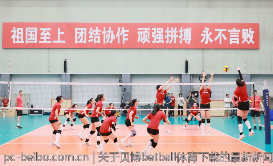关于贝博betball体育下载的最新新闻与动态