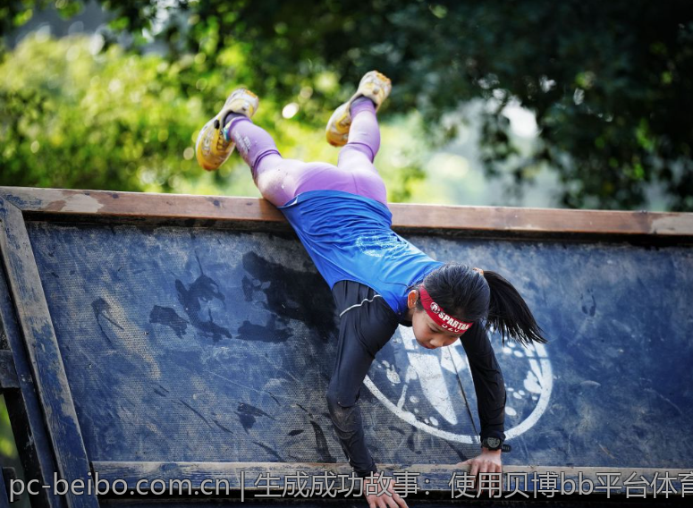 生成成功故事：使用贝博bb平台体育下载的经验