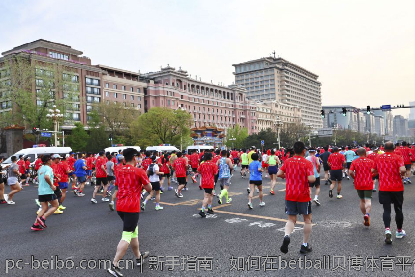 新手指南：如何在betball贝博体育平台上投注