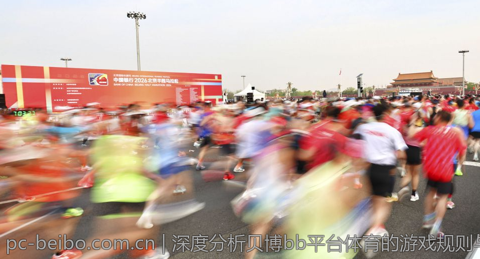 深度分析贝博bb平台体育的游戏规则与策略