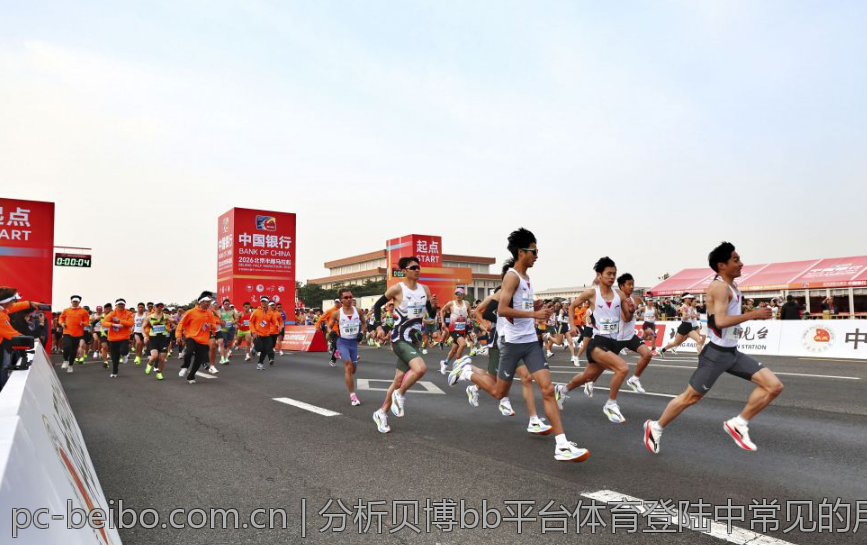 分析贝博bb平台体育登陆中常见的用户问题